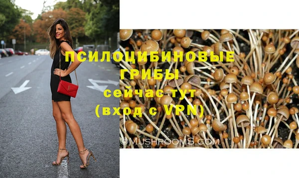 спайс Абдулино