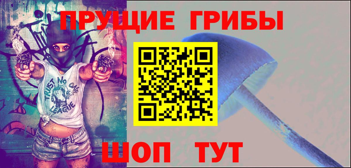 COCAIN  Александров  COCAIN  ТГК  Бошки Шишки  LSD-25  МЕФ   Вход с VPN 