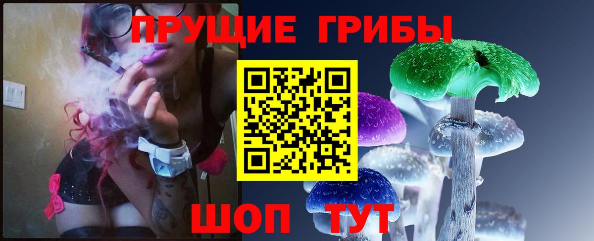 Галлюциногенные грибы Psilocybine cubensis  Александров  Галлюциногенные грибы Cubensis 